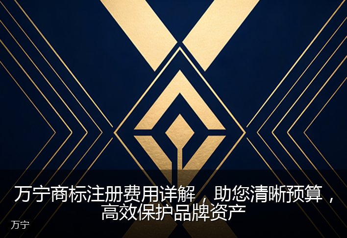 万宁商标注册费用详解，助您清晰预算，高效保护品牌资产