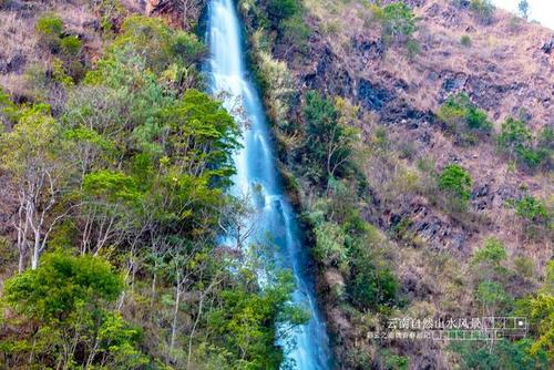 减肥茶排行榜前10名 (十大瘦身品牌排行榜)