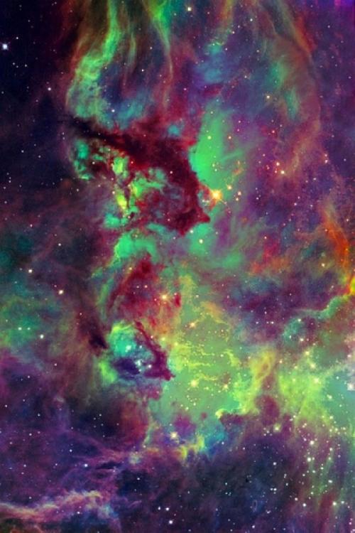 减肥茶排行榜前10名 (十大瘦身品牌排行榜)