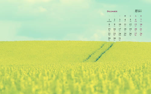 豪华汽车品牌排名