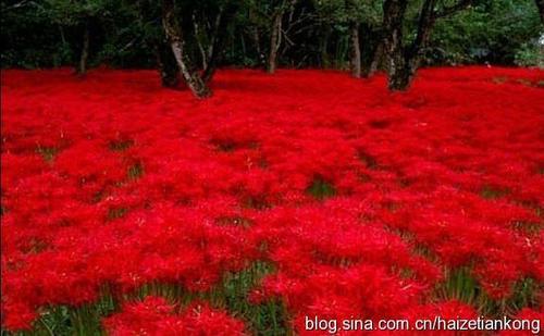 为什么外国没有国六，我们中国国6点16。