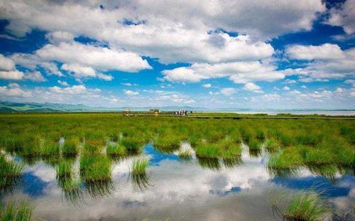 疫情退票政策截止日期(火车票退票费)