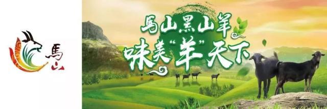 南宁市首个动物类地理标志“马山黑山羊”