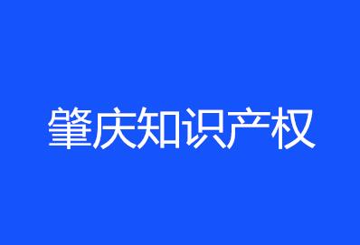 广东知识产权局副局长调研肇庆知识产权工作