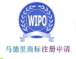 广州企业荣获商标创新奖以及马德里商标国际注册特别奖 广州企业荣获商标创新奖以及马德里商标国际注册特别奖