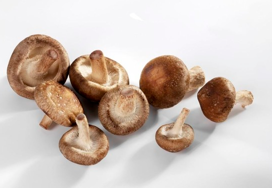 文登花香菇商标.png