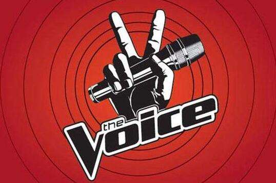 “好声音”系列商标纠纷案落锤