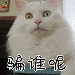 商标注册新套路：商标局让我加你微信！