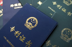 省知识产权局审理武汉专利业务案件133件